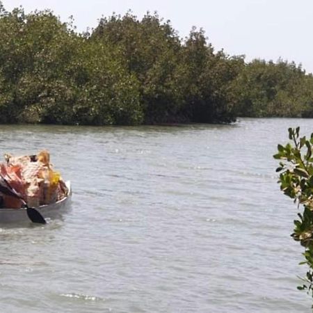 Mangrove Beach Sanyang Dış mekan fotoğraf