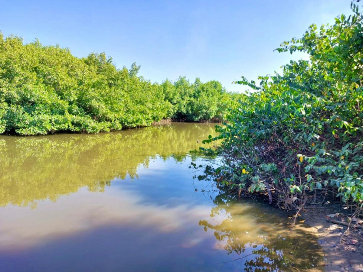Mangrove Beach Sanyang Dış mekan fotoğraf