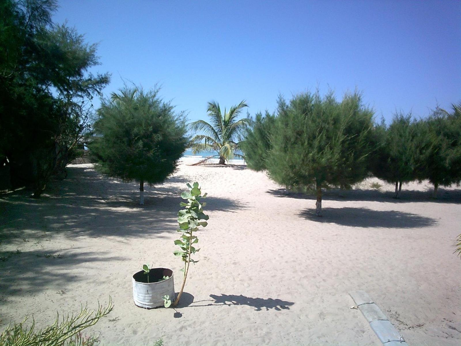 Mangrove Beach Sanyang Dış mekan fotoğraf