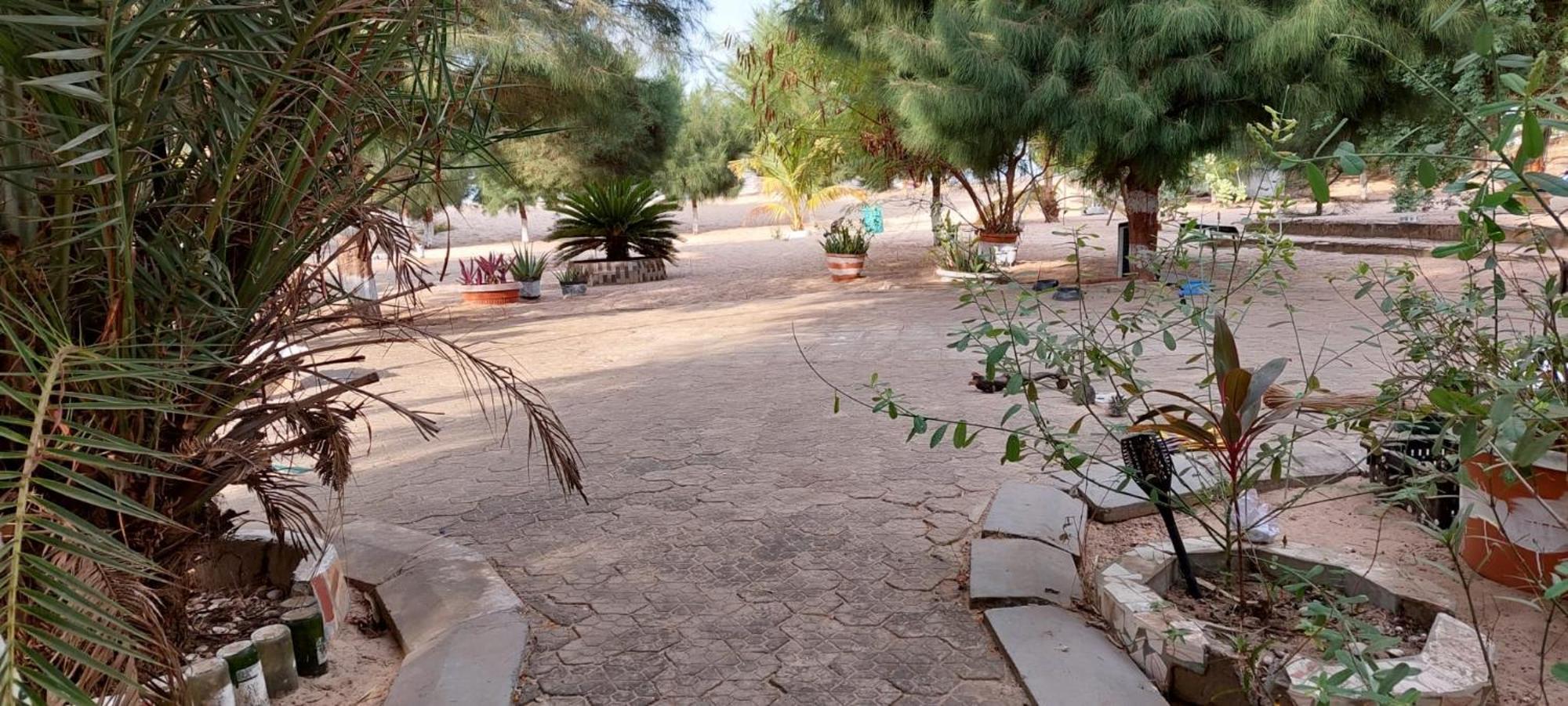 Mangrove Beach Sanyang Dış mekan fotoğraf
