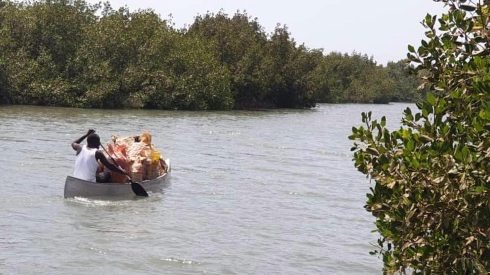 Mangrove Beach Sanyang Dış mekan fotoğraf